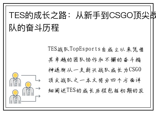 TES的成长之路：从新手到CSGO顶尖战队的奋斗历程