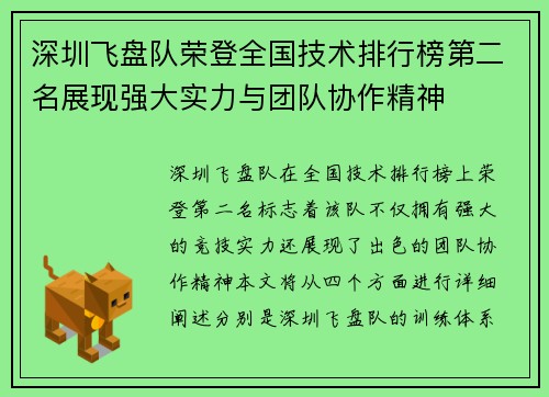 深圳飞盘队荣登全国技术排行榜第二名展现强大实力与团队协作精神